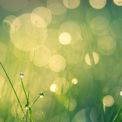 A First Step in Developing Executive Presence